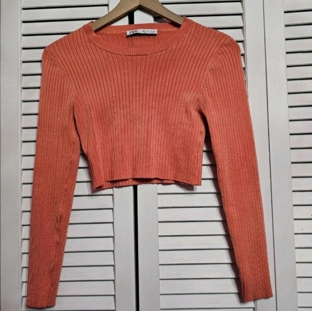 NWOT • Zara • Long Sleeved Knit Crop Top
